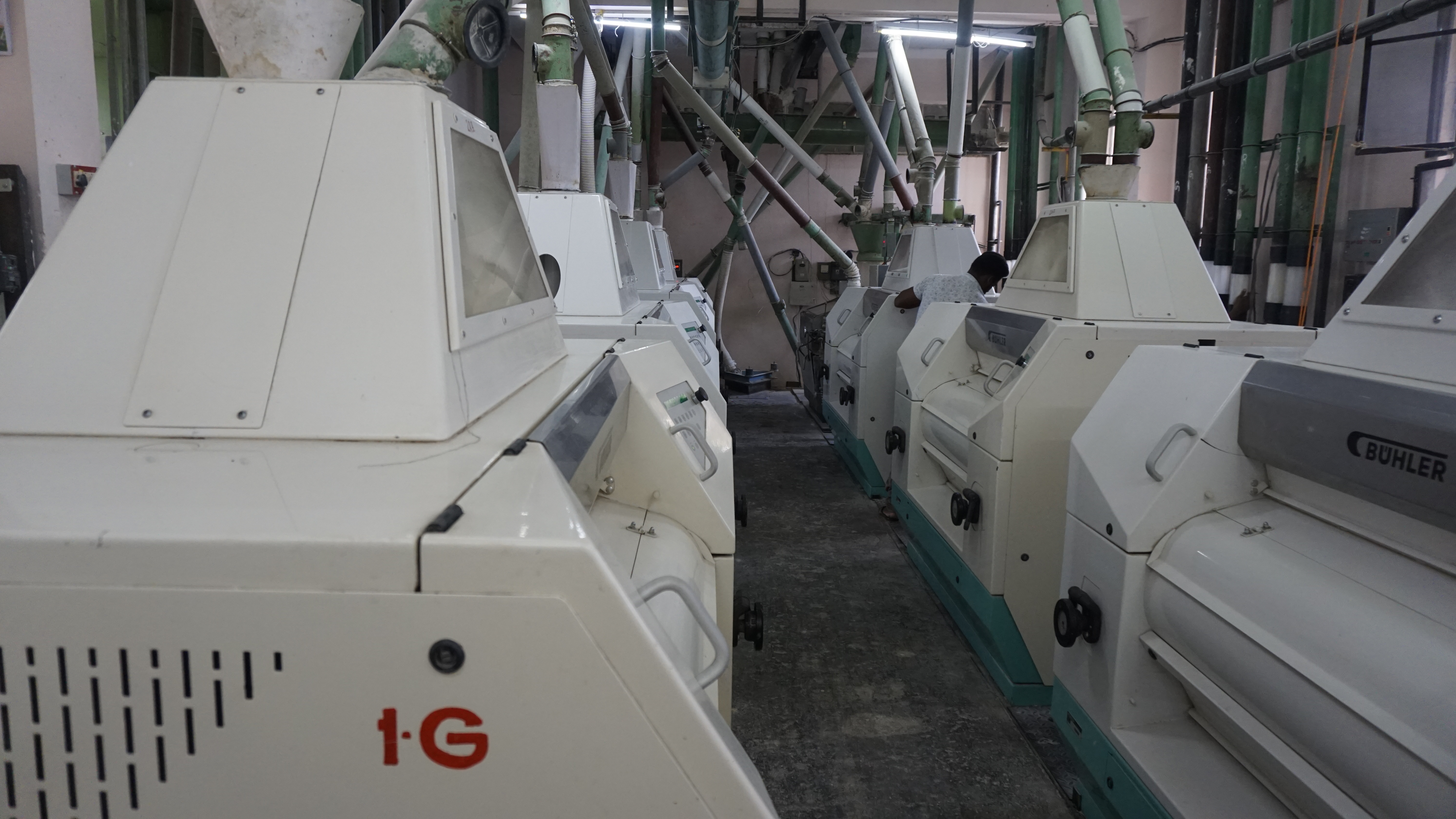Wheat Flour Companies
